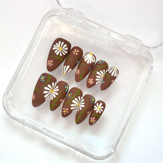 Cocoa Daisy